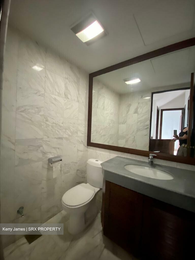 Clementi Park (D21), Detached #333666511